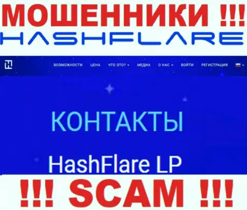 Данные об юридическом лице мошенников HashFlare