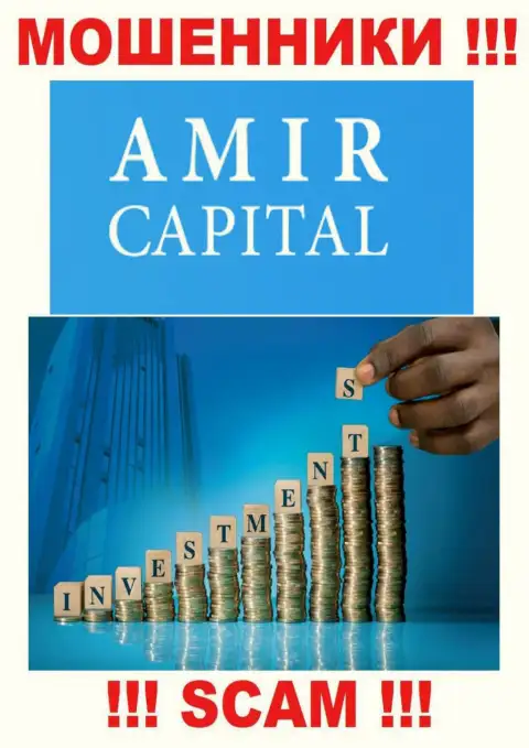 Не отправляйте денежные активы в Амир Капитал, направление деятельности которых - Инвестирование