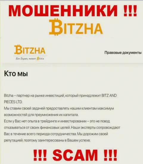 Bitzha - это типичные internet мошенники, вид деятельности которых - Инвестирование