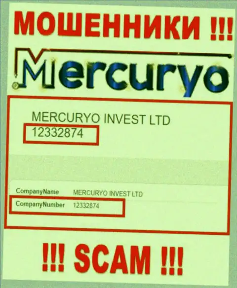 Номер регистрации противоправно действующей компании Меркурио: 12332874