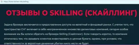 Skilling - это компания, совместное сотрудничество с которой доставляет только лишь потери (обзор мошеннических комбинаций)