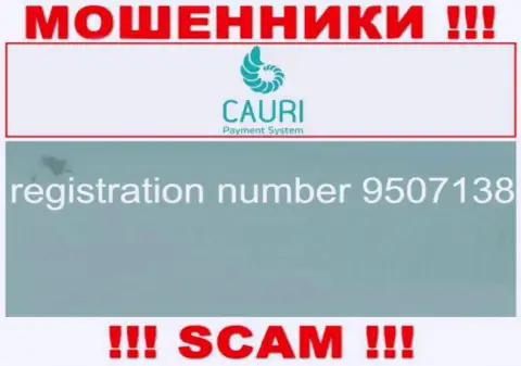 Номер регистрации, принадлежащий жульнической конторе Cauri LTD - 9507138