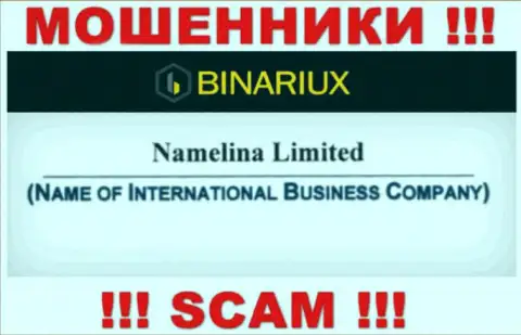 Binariux - это интернет-махинаторы, а владеет ими Namelina Limited