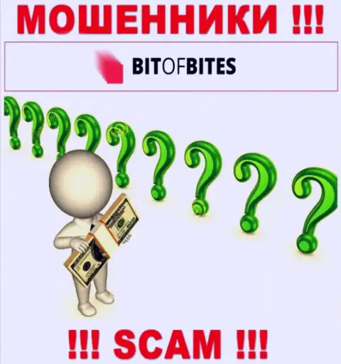 На официальном ресурсе Bitofbites Limited нет никакой информации о руководителях конторы