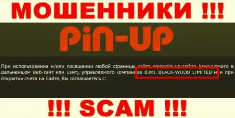 Ворюги Pin Up Casino принадлежат юридическому лицу - B.W.I. BLACK-WOOD LIMITED