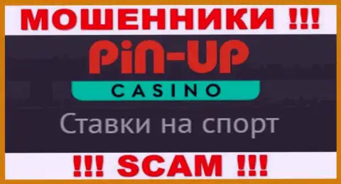 Основная работа Pin Up Casino - Casino, будьте очень осторожны, действуют незаконно