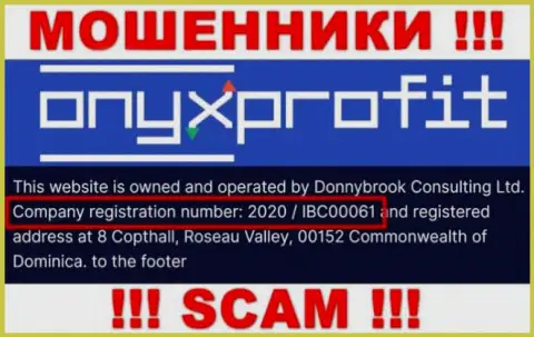 Регистрационный номер, который принадлежит организации Оникс Профит - 2020 / IBC00061