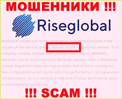 Регистрационный номер Rise Global, который ворюги предоставили на своей web-странице: 103595