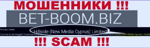 Юридическим лицом, управляющим интернет мошенниками Bet-Boom Biz, является Hillside (New Media Cyprus) Limited