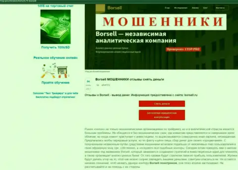 Обзор махинаций scam-организации Borsell Ru - это МОШЕННИКИ !!!