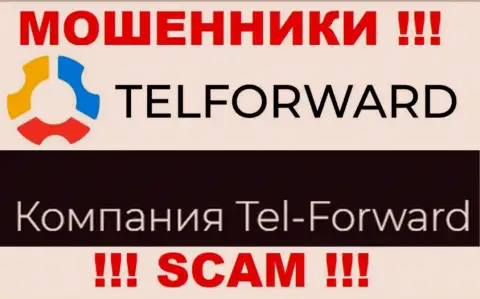 Юридическое лицо Тел-Форвард - это Tel-Forward, такую инфу расположили мошенники на своем web-портале