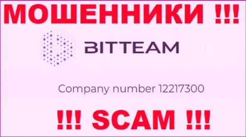 Рег. номер компании Bit Team - 12217300
