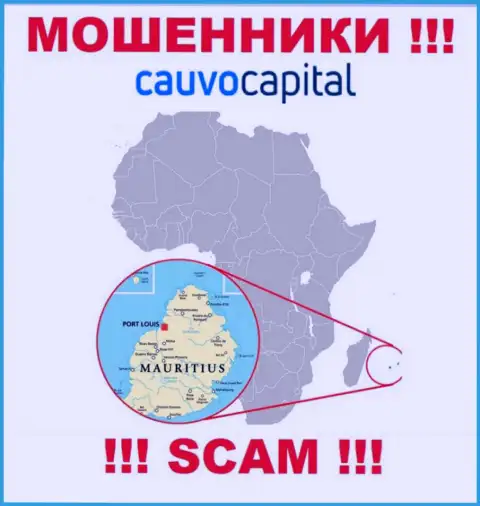Организация Кауво Капитал похищает депозиты лохов, зарегистрировавшись в оффшорной зоне - Маврикий