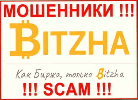 Bitzha24 - это ЖУЛИКИ !!! Денежные вложения не отдают !!!