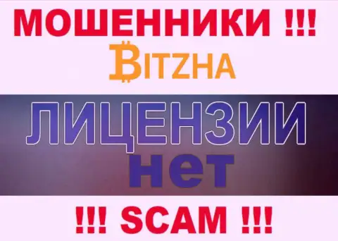 Мошенникам Bitzha24 не дали лицензию на осуществление деятельности - сливают денежные активы