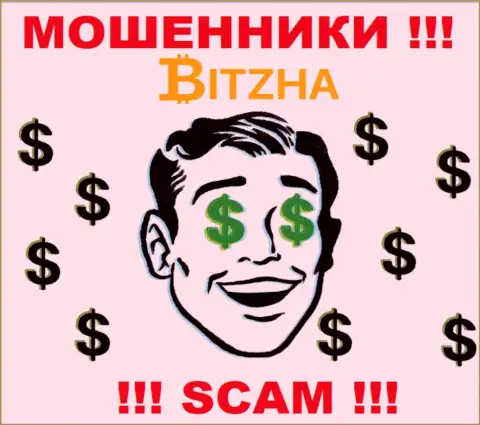 Организация Bitzha24 Com - это МОШЕННИКИ ! Орудуют противозаконно, ведь у них нет регулятора