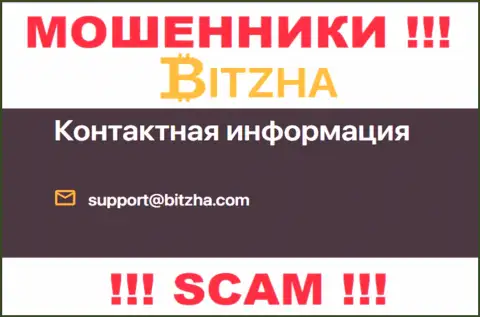 Е-майл воров Bitzha24 Com, информация с официального веб-сервиса