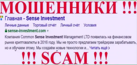 Sense Investment - это МАХИНАТОРЫ !!! SCAM !!!