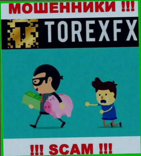 Довольно рискованно работать с брокерской организацией Torex FX - кидают валютных игроков